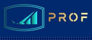Prof Accountant